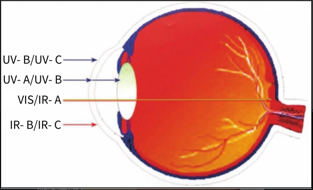Laser Damage In ophthalmology SZLASER